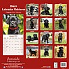 Black Lab Puppy Calendar